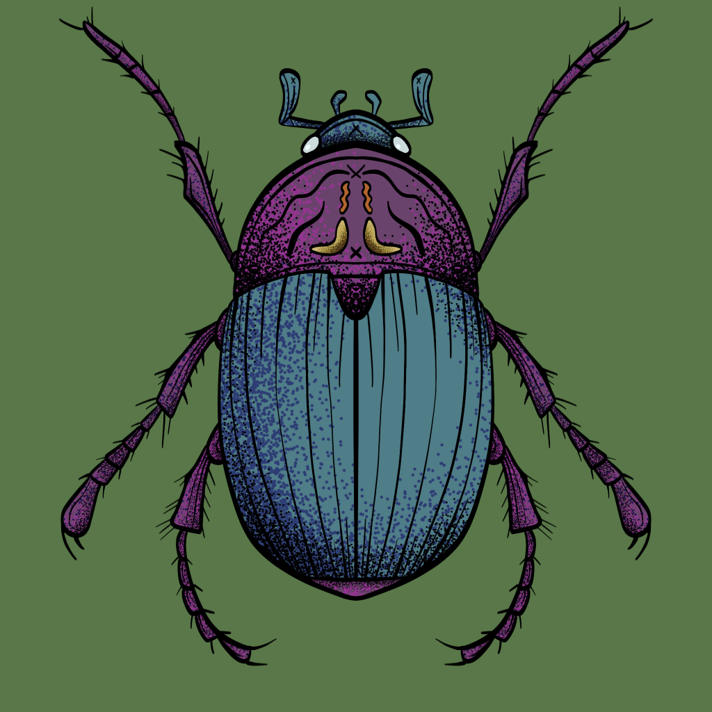 Scarab